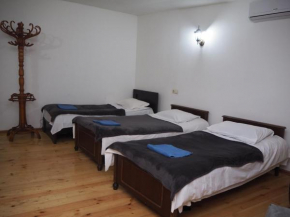 jeki's apartment in old tbilisi